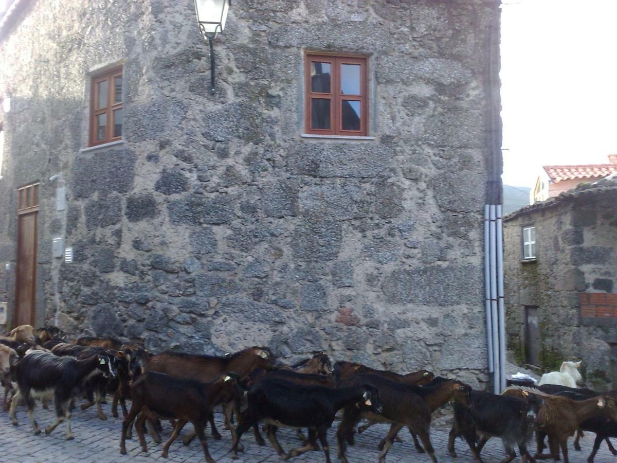 فيلا سابوغييروفي Casa Do Mocho المظهر الخارجي الصورة